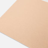 Sciarpa con logo lettering 105988A2Z5 MZ2 PINKO Cammello/bianco 