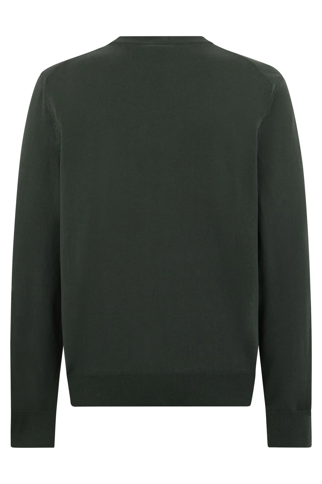 Maglia girocollo in lana merinos con logo ricamato 50571914 10283210 01 350 BOSS Open green 