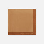Foulard in seta FO03F66E2 FR3 ELISABETTA FRANCHI Daino/sigaro 