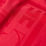 Foulard in viscosa e modal SC03F66E2 CG5 ELISABETTA FRANCHI Red passion 