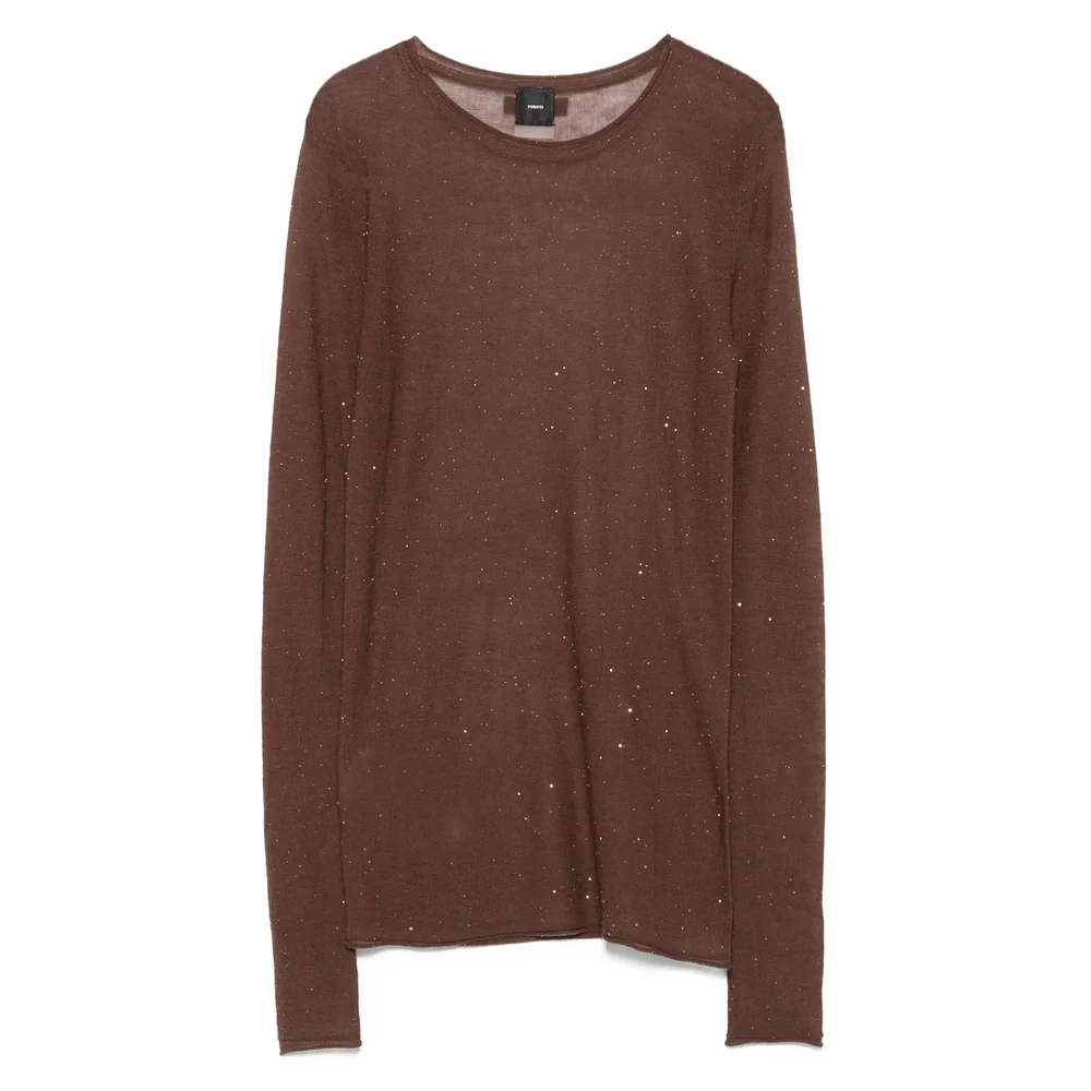 Maglia girocollo con paillettes 105398A2PM L73 PINKO Marrone oliva 