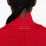Maglia collo alto in lana e cachemire 107204A3G1 R66 PINKO Rosso-intenso 