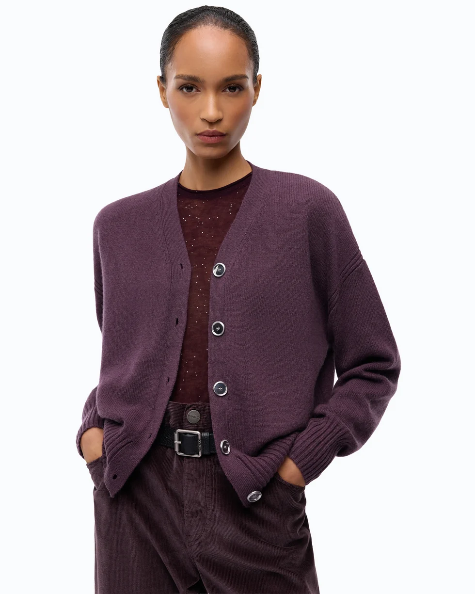 Cardigan in lana e cashmere 107212A3G1 W63 PINKO Viola prugna perfetto 