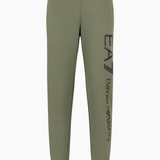 Pantaloni joggers Logo Series in cotone 8NPPC3 PJ05Z 1846 EA7 Green 