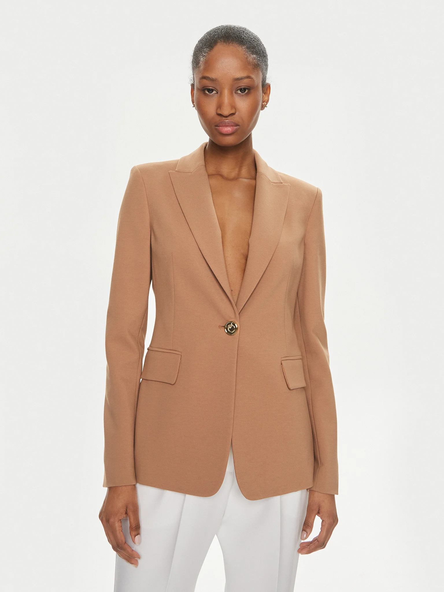 Blazer monopetto 100254A1L3 C95 PINKO Brown 