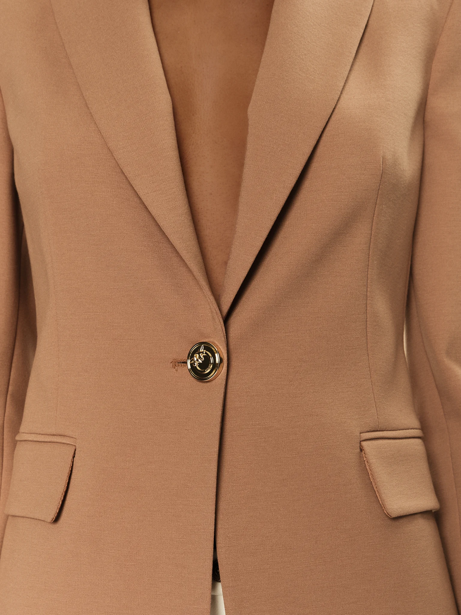 Blazer monopetto 100254A1L3 C95 PINKO Brown 
