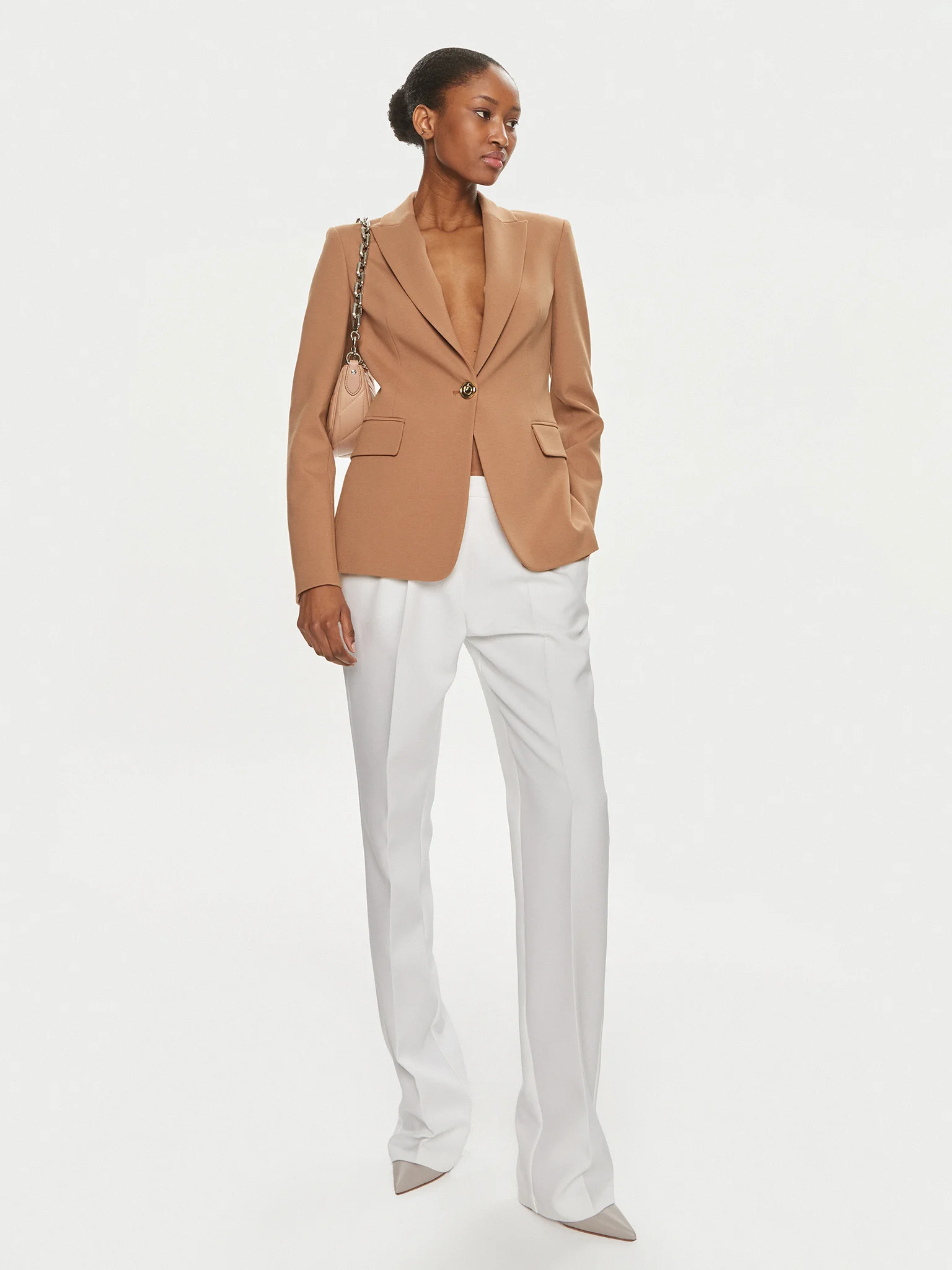 Blazer monopetto 100254A1L3 C95 PINKO Brown 