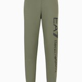 Pantaloni joggers Logo Series in cotone 8NPPC3 PJ05Z 1846 EA7 Green 