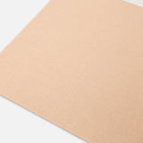Sciarpa con logo lettering 105988A2Z5 MZ2 PINKO Cammello/bianco 